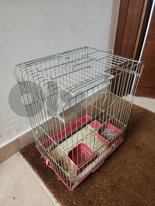 cage for birds/ parrots قفص عصافير/ببغاء