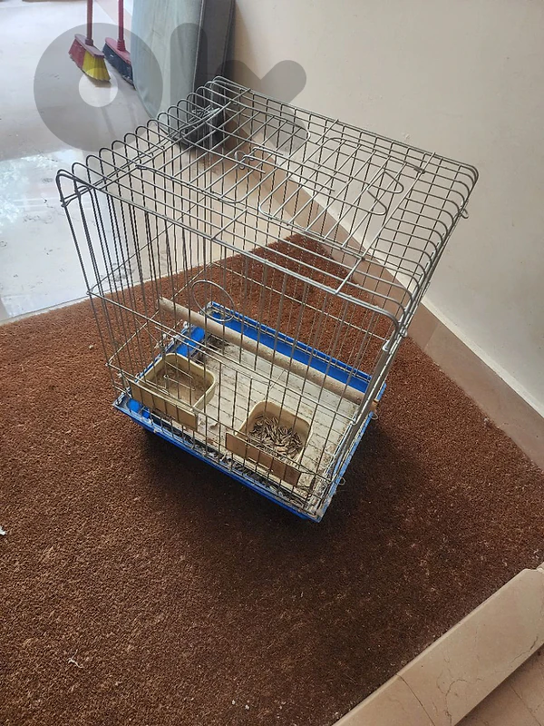 cage for birds/ parrots قفص عصافير/ببغاء