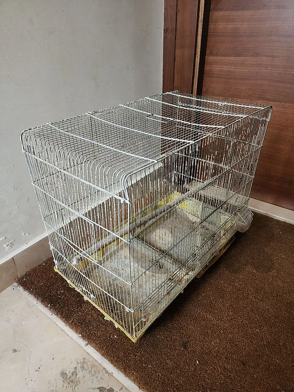 cage for birds/ parrots قفص عصافير/ببغاء