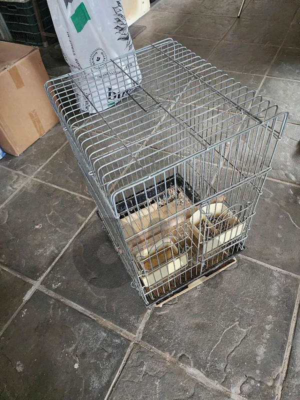 cage for birds/ parrots قفص عصافير/ببغاء