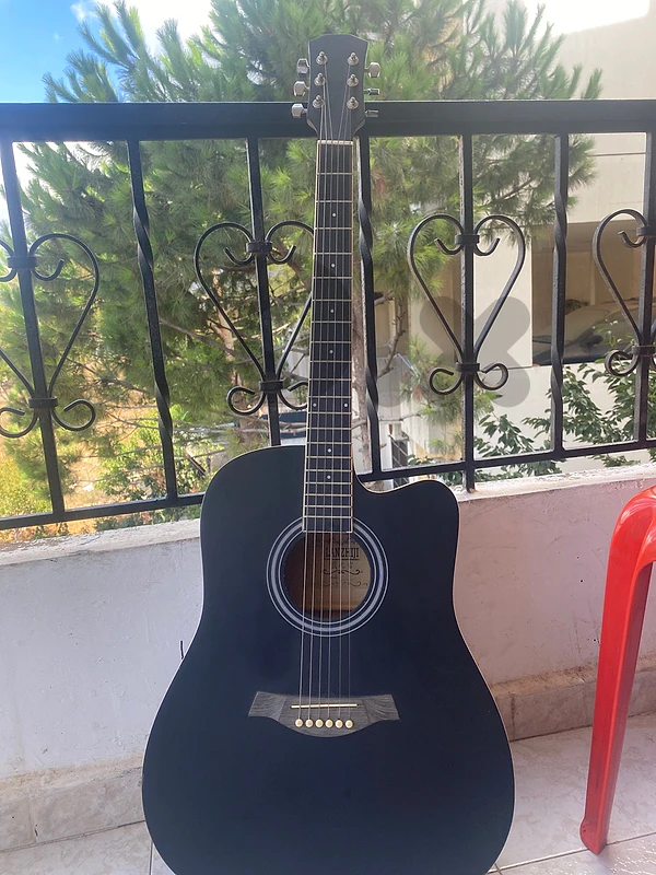 acoustic guitar in black