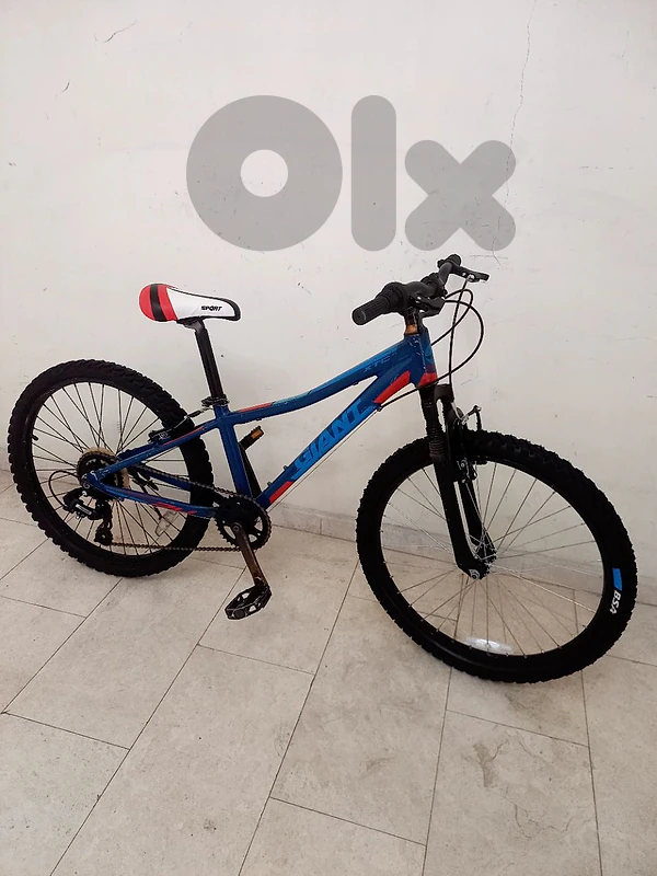 بسكليت Giant