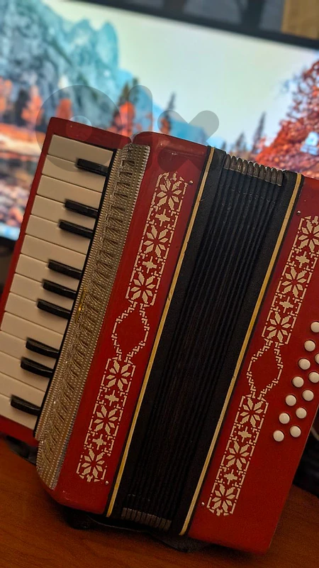 small Vintage Russian accordeon