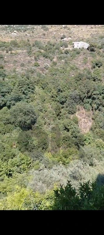 ارض للبيع في حبرمون عاليه land for sale in aley