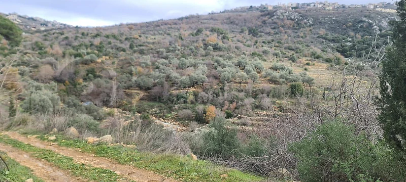 أرض للبيع في بحمدون عاليه land for sale in aley