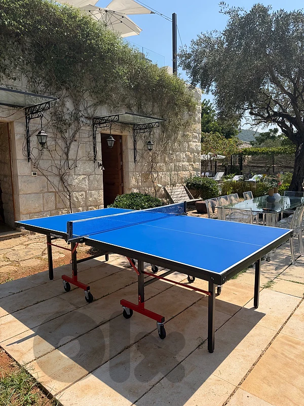 Peak Tournament Ping Pong Table Tennis 25MM