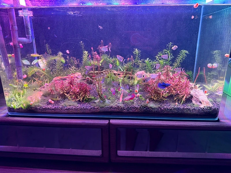 full set aquarium