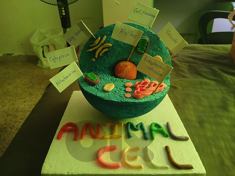 Handmade Animal Cell Sculpture