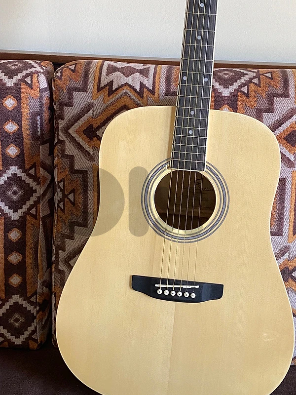 Sounsation acoustic guitar