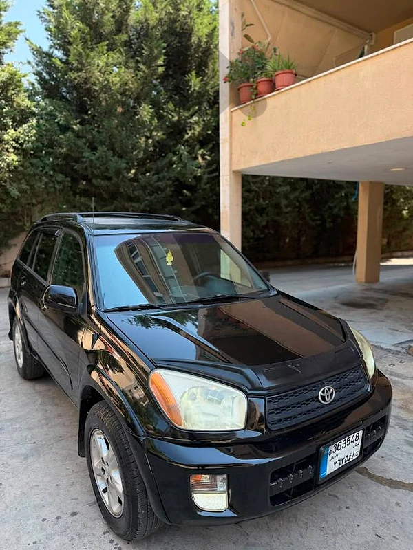 Toyota rav4	2002