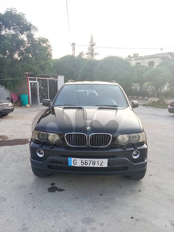 BMW X5 2003 BMW X5 2003