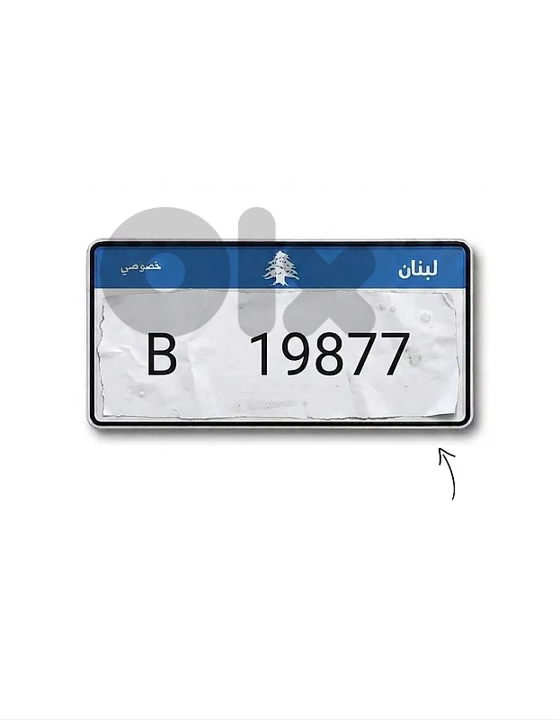 19877 B