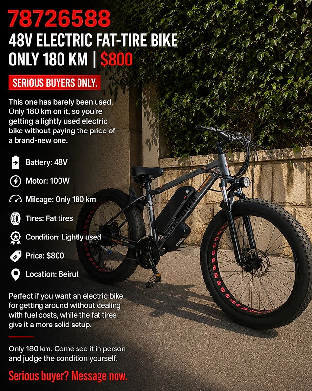 48V ELECTRIC FAT-TIRE BIKE | ONLY 180 KM | $800