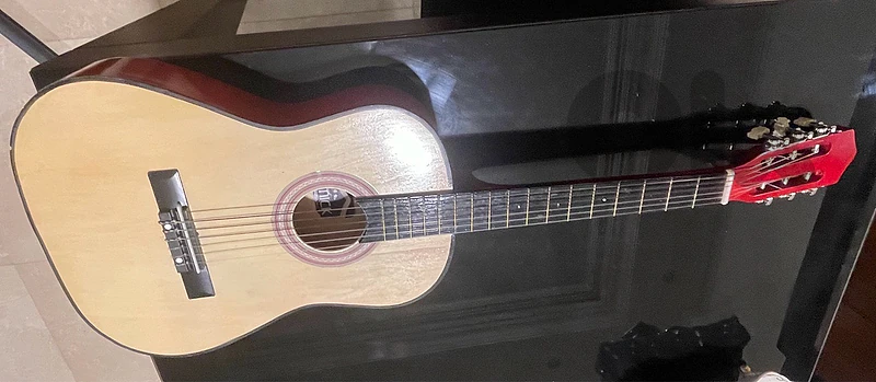Guitar