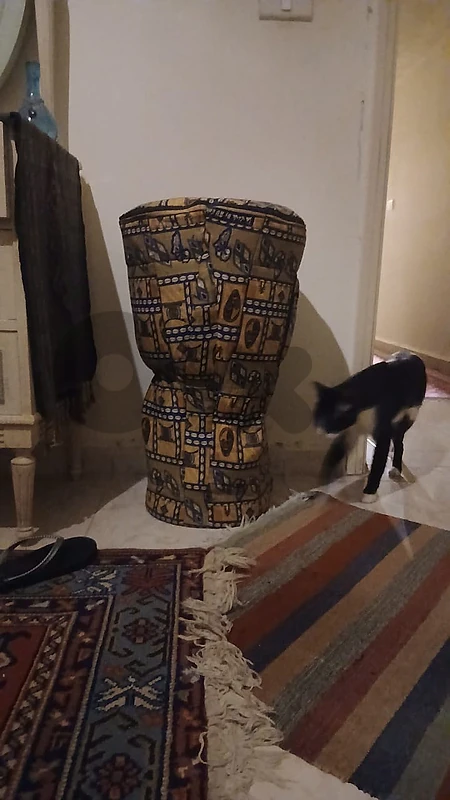 Authentic African Djembe
