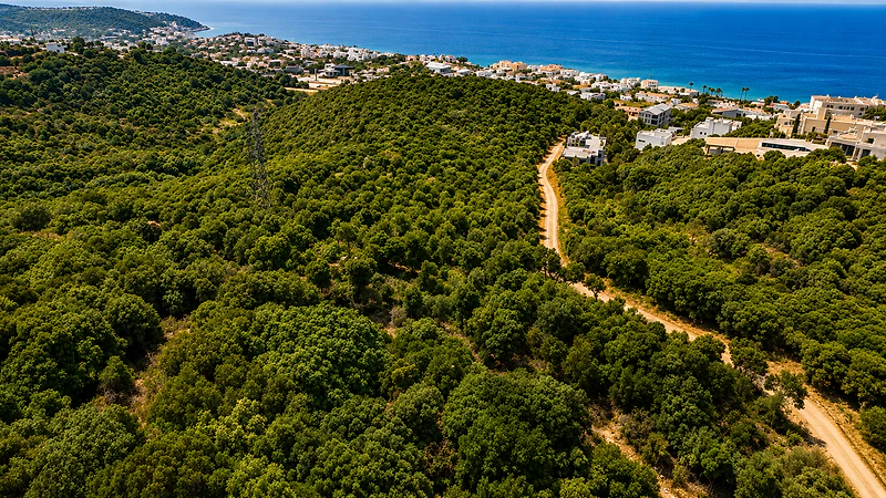 Land for Sale in Thoum, Batroun أرض للبيع في تحوم، البترون Land for Sale in Thoum, Batroun أرض للبيع في تحوم، البترون