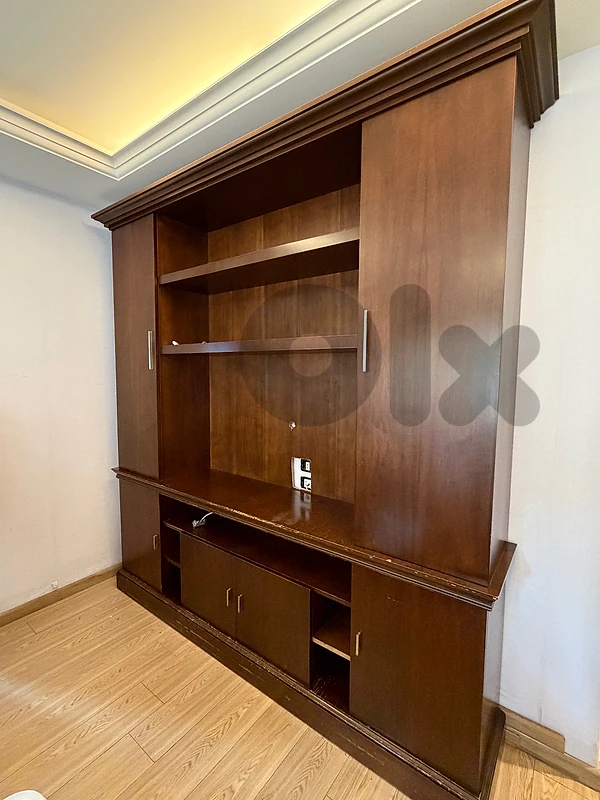 tv cabinet with cupboards