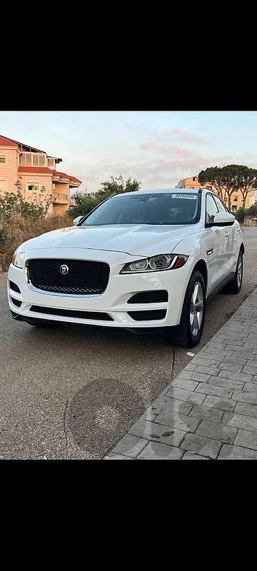 Jaguar 2018