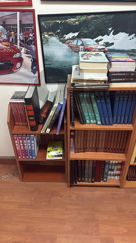 shelf