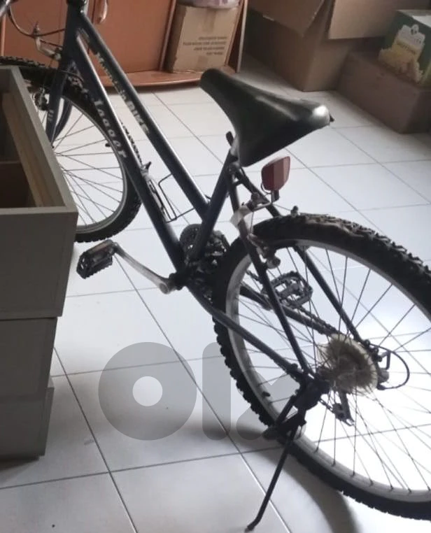 jagger mountain bike