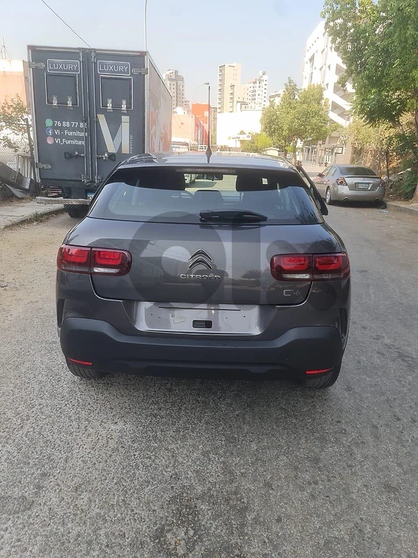 Citroen C4 2019 cactus
