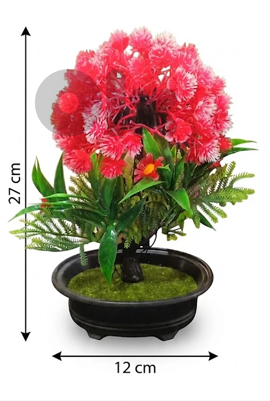 Red Bonsai Tree