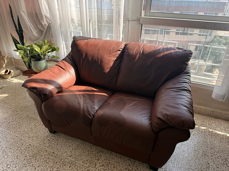 leather couches