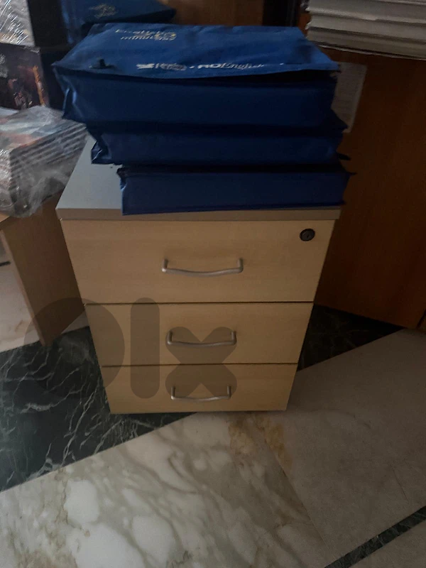 This collection of commercial office storage