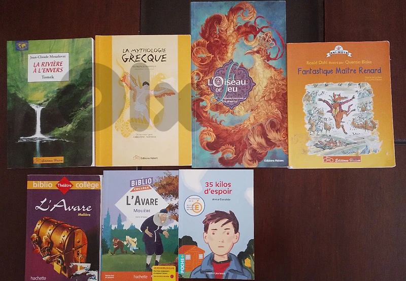 Used School Books for Sale – Good Condition –EB6-EB7-EB8-EB9-2de