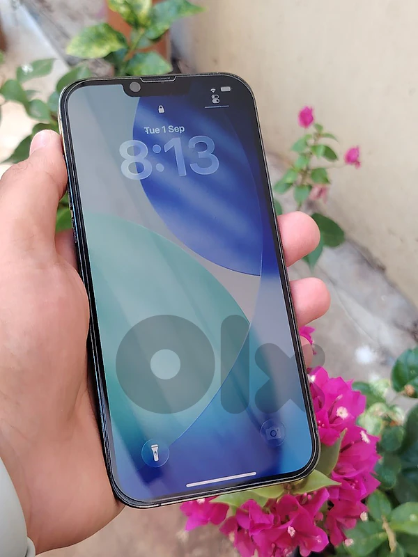 13 pro max 128gb