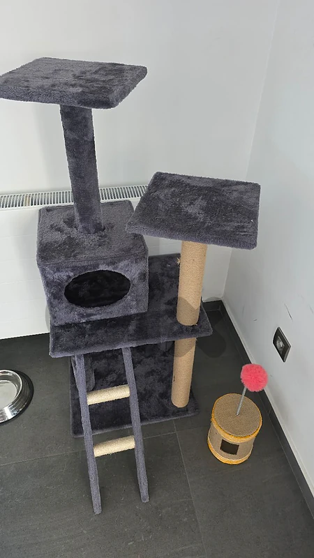 cat house & toy for sale
