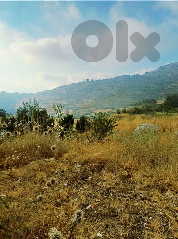PRIME LAND FOR SALE – FAQRA | NEAR FAQRA ROUNDABOUT