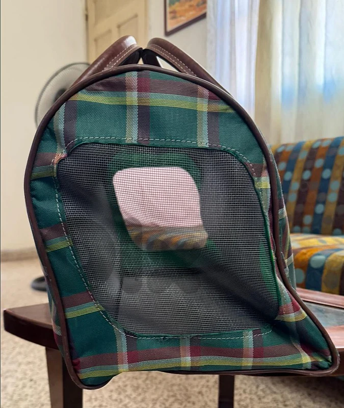 Carry on dog  or cat case