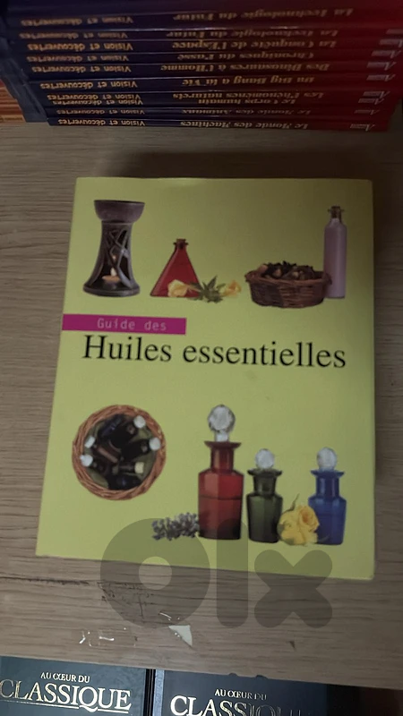 "Guide des Huiles Essentielles" French Aromatherapy Reference Book