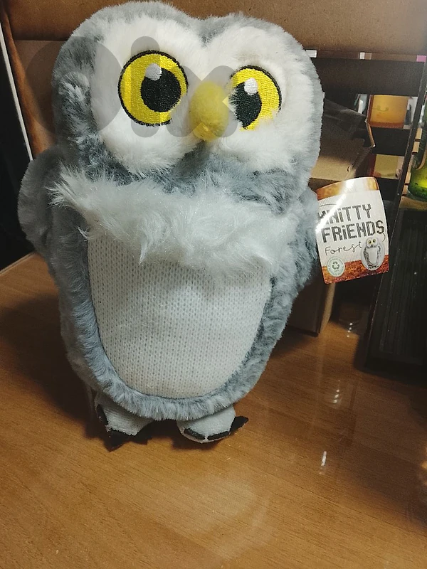 new owl