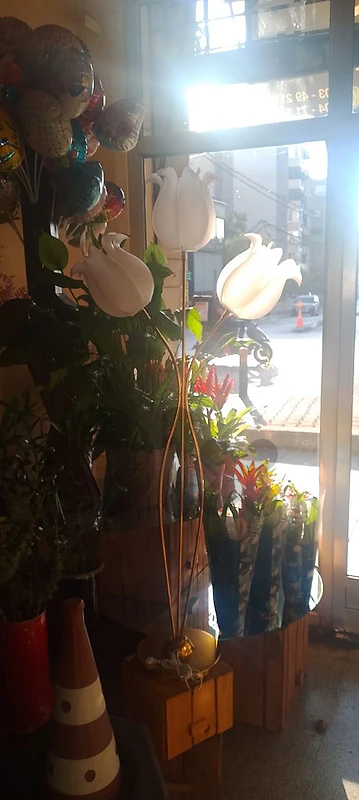lights for events and all occasions