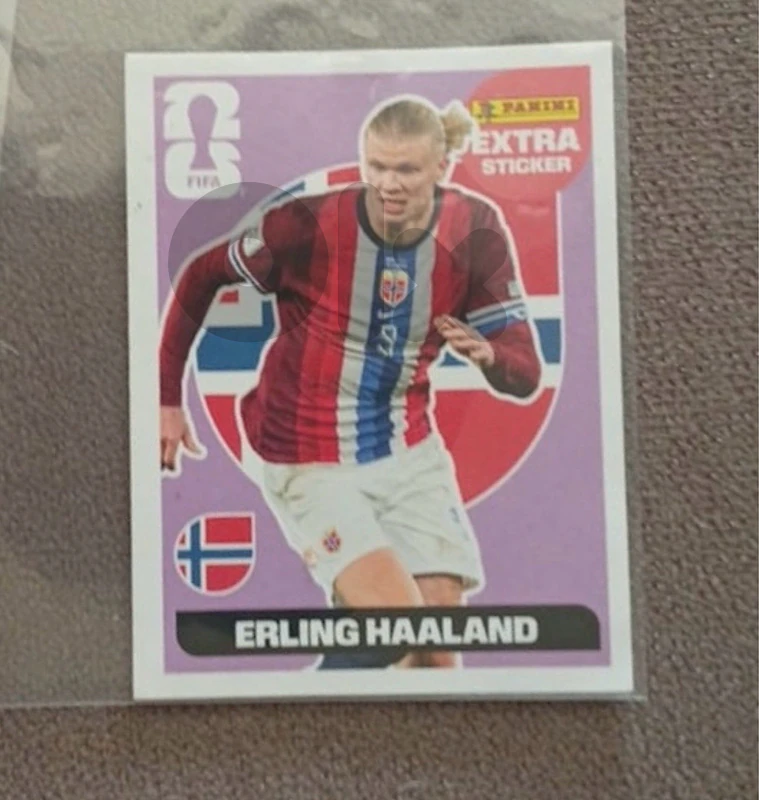 Haaland Extra Sticker Panini- Purple