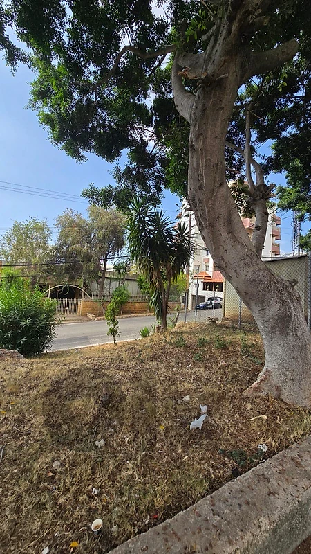 LAND FOR SALE – GHAZIR (MAAMELTEIN) MY