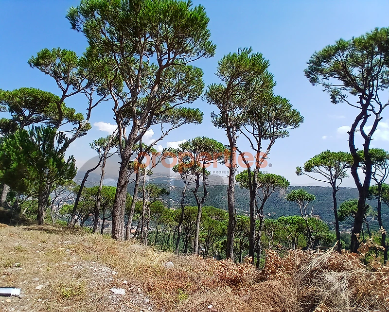 Land For Sale In Dhour Shweirارض للبيع في ضهور الشوير CPKH30