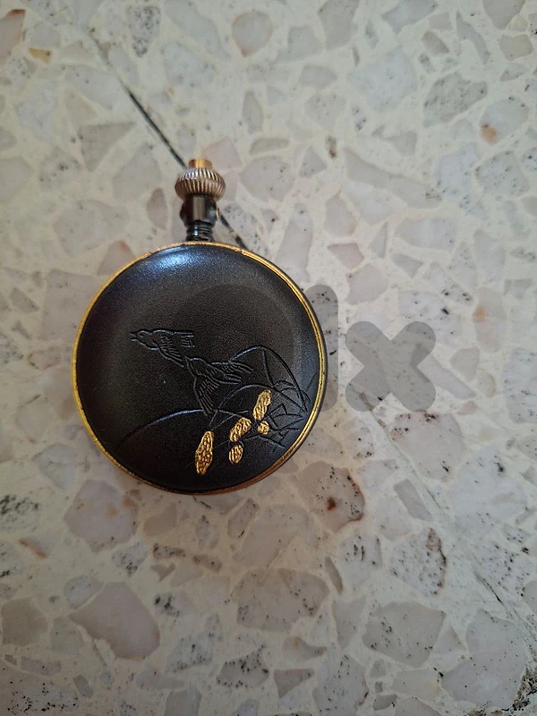 ساعة جيب - pocket watch