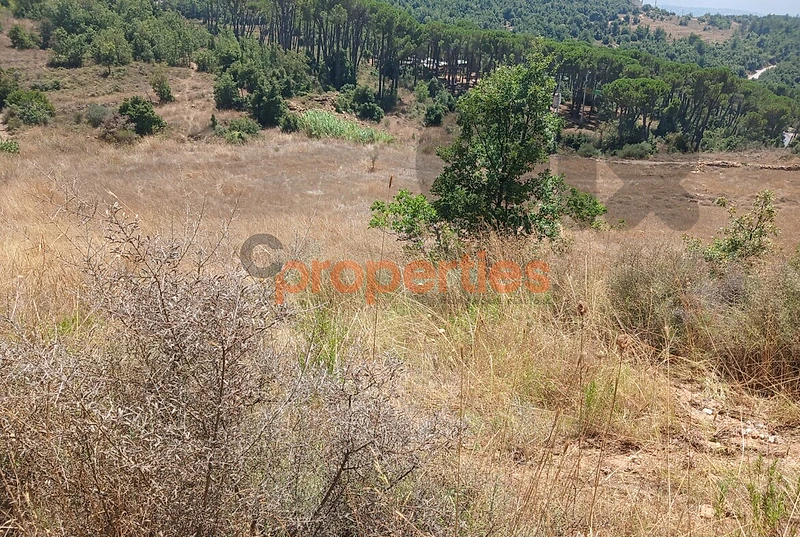 Land For Sale In Mar Moussa ارض للبيع في مار موسى CPKH31