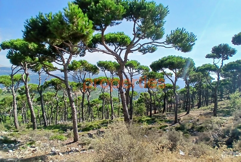 Undermarket Price Land For Sale In Bickfaya ارض للبيع في بكفيا CPKH33