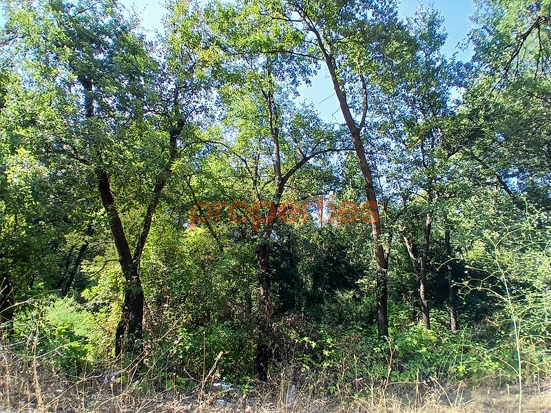 Land For Sale In Bickfaya ارض للبيع في بكفيا CPKH35 Land For Sale In Bickfaya ارض للبيع في بكفيا CPKH35