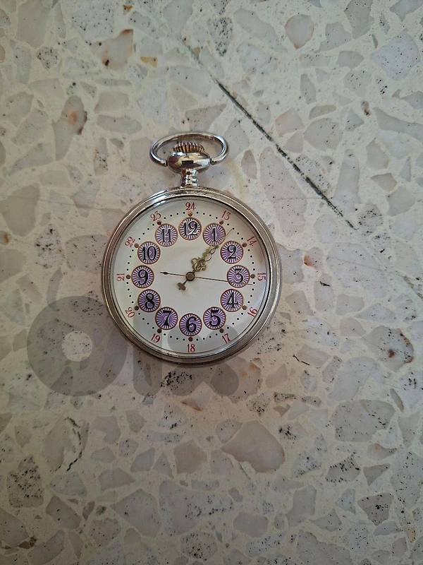ساعة جيب - pocket watch
