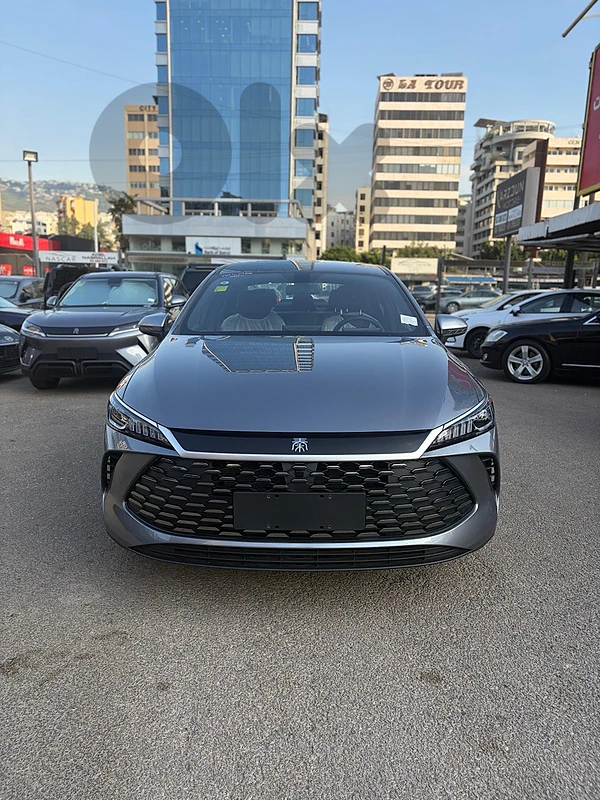 BYD Other 2025 Qin Plus BYD Other 2025 Qin Plus