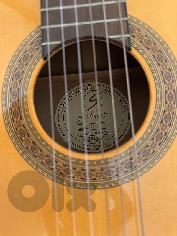 classical guitar greg bennett usa