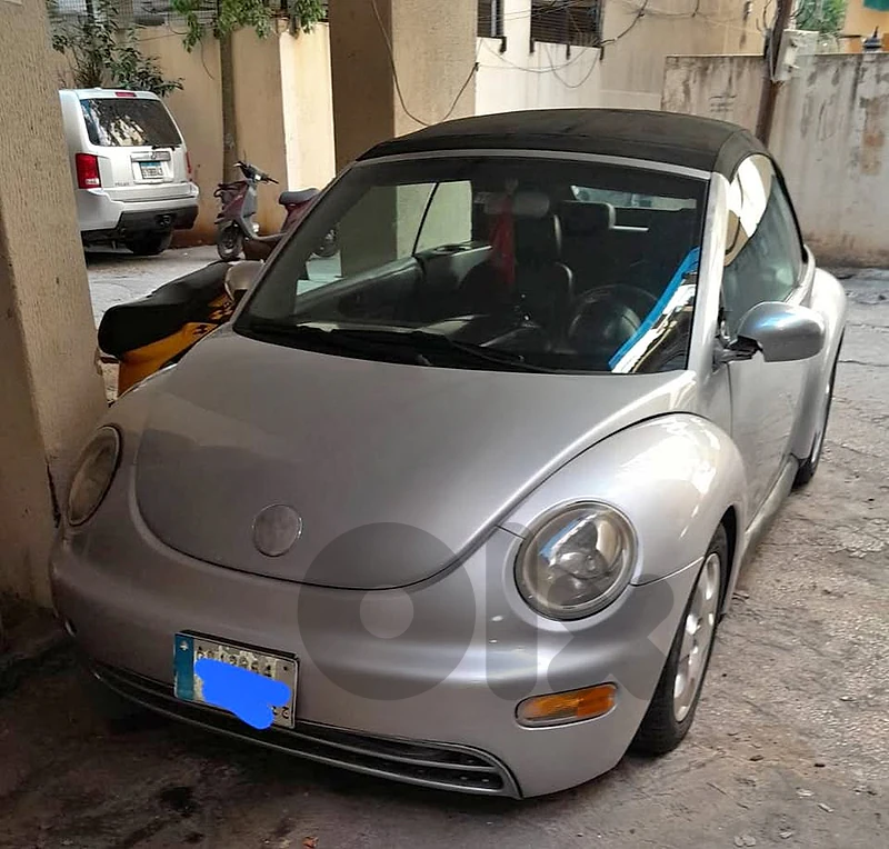 Beetle 2003