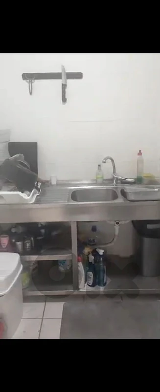 Stainless steel 2 sinks