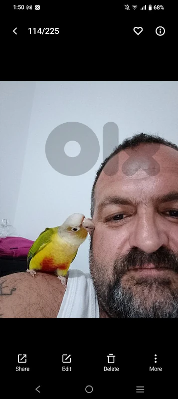 بيروت