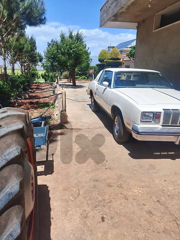 Oldesmoibl catlass 1978